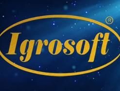 Igrosoft: игровые автоматы с российской душой