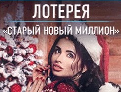 Кто положил в карман новогодний миллион?